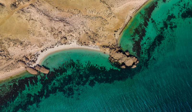 Farasan Islands